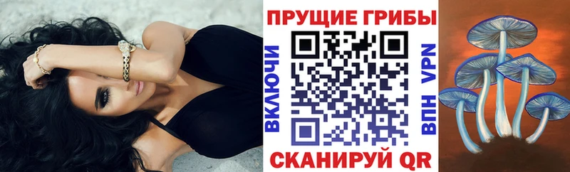Псилоцибиновые грибы мицелий  Майский 