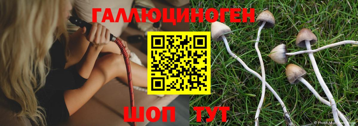 Майский  Галлюциногенные грибы Psilocybe  Вход с VPN  Галлюциногенные грибы MAGIC MUSHROOMS 
